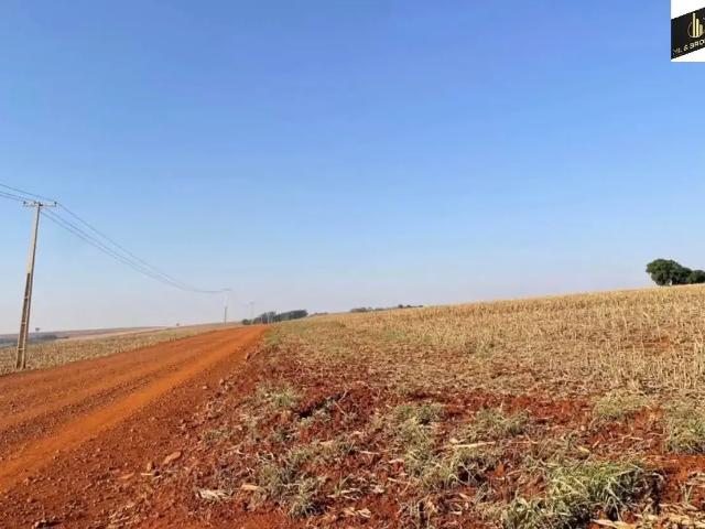 Sítio / Chácara para Venda em Ourizona/PR Zona Rural