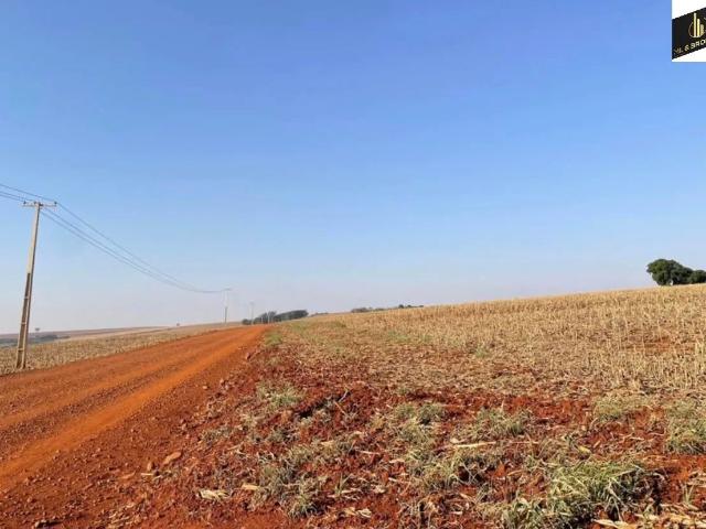 Sítio / Chácara para Venda em Ourizona/PR Zona Rural