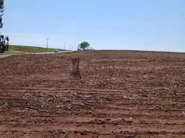 Sítio / Chácara para Venda em Ourizona/PR Zona Rural 1 Quartos