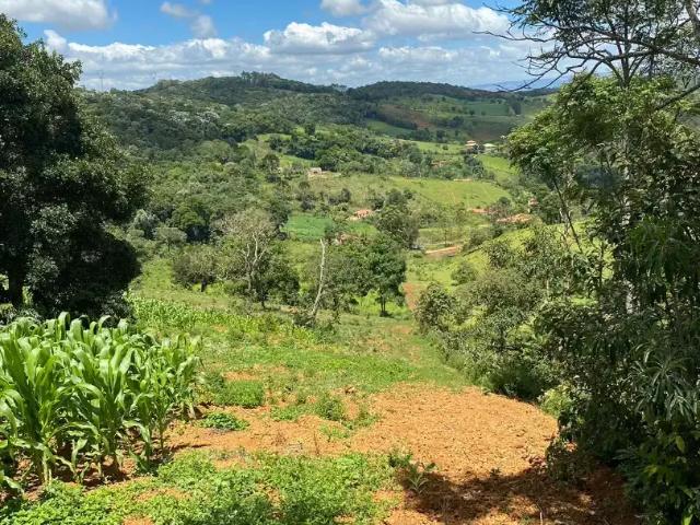 Sítio / Chácara para Venda em Ouro Branco/MG Zona Rural