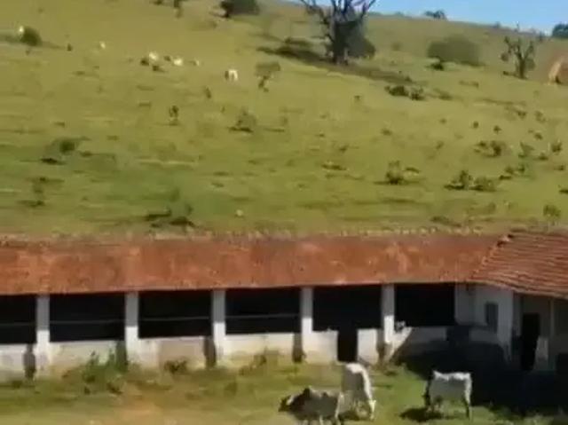 Sítio / Chácara para Venda em Ouro Fino/MG Zona Rural 18 Quartos