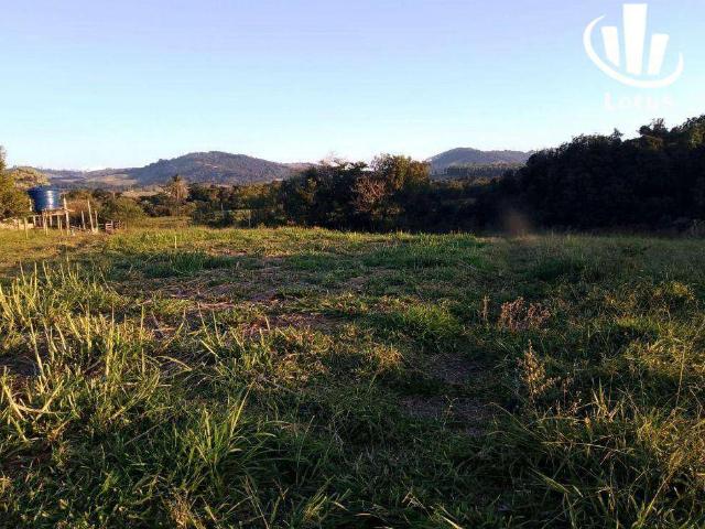 Sítio / Chácara para Venda em Ouro Fino/MG Zona Rural