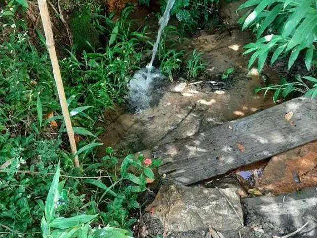 Sítio / Chácara para Venda em Ouro Preto/MG Santo Antônio do Leite