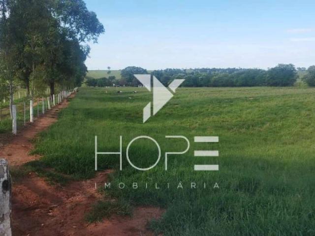 Sítio / Chácara para Venda em Loanda/PR Zona Rural 1 Quartos