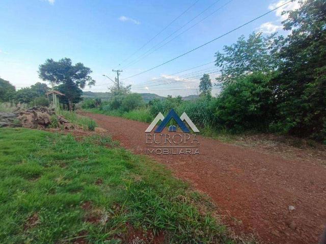 Sítio / Chácara para Venda em Londrina/PR Usina Três Bocas