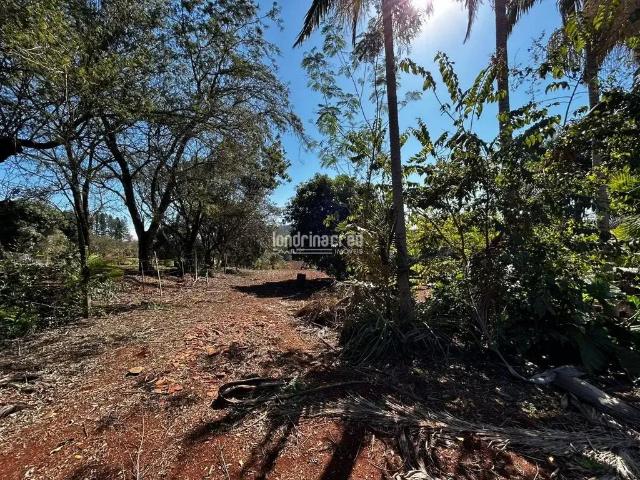 Sítio / Chácara para Venda em Londrina/PR Área Rural de Londrina 1 Quartos