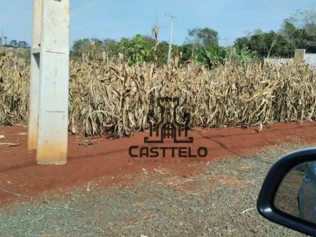 Sítio / Chácara para Venda em Londrina/PR Área Rural de Londrina 1 Quartos