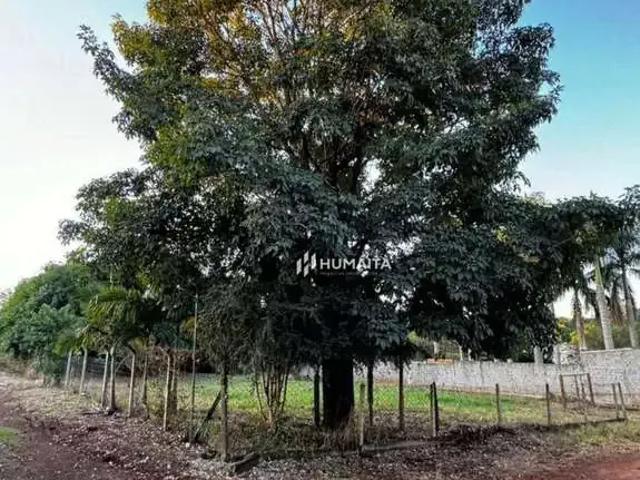 Sítio / Chácara para Venda em Londrina/PR Área Rural de Londrina 1 Quartos