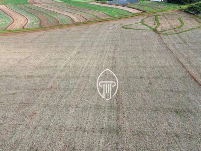 Sítio / Chácara para Venda em Londrina/PR Área Rural de Londrina