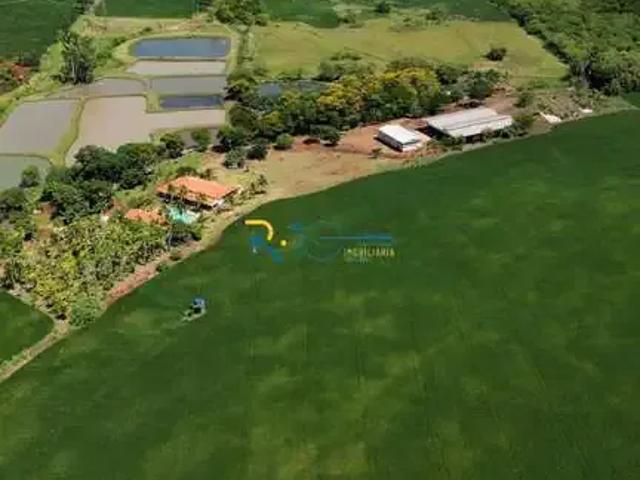 Sítio / Chácara para Venda em Londrina/PR Área Rural de Londrina