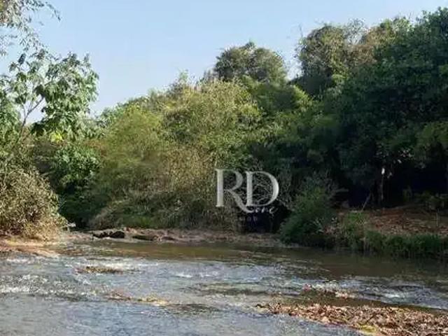 Sítio / Chácara para Venda em Londrina/PR Área Rural de Londrina 3 Quartos