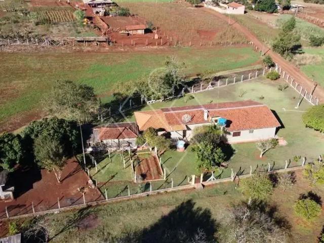 Sítio / Chácara para Venda em Londrina/PR Área Rural de Londrina 3 Quartos