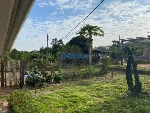 Sítio / Chácara para Venda em Londrina/PR Área Rural de Londrina 4 Quartos