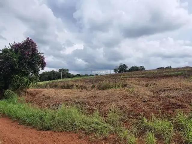 Sítio / Chácara para Venda em Londrina/PR Área Rural de Londrina