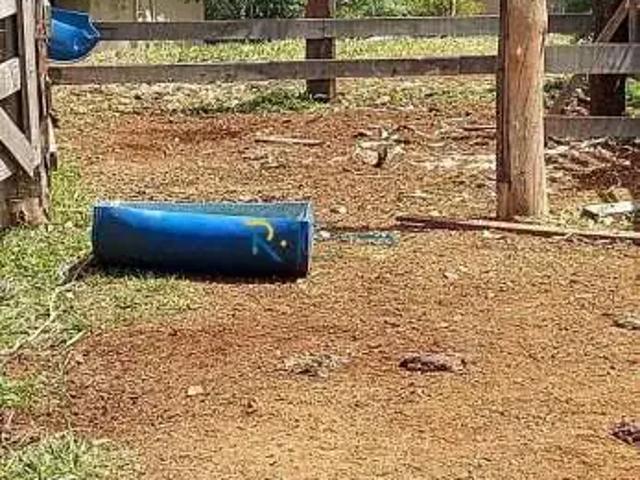 Sítio / Chácara para Venda em Londrina/PR Área Rural de Londrina