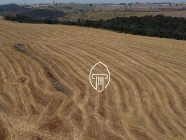 Sítio / Chácara para Venda em Londrina/PR Área Rural de Londrina