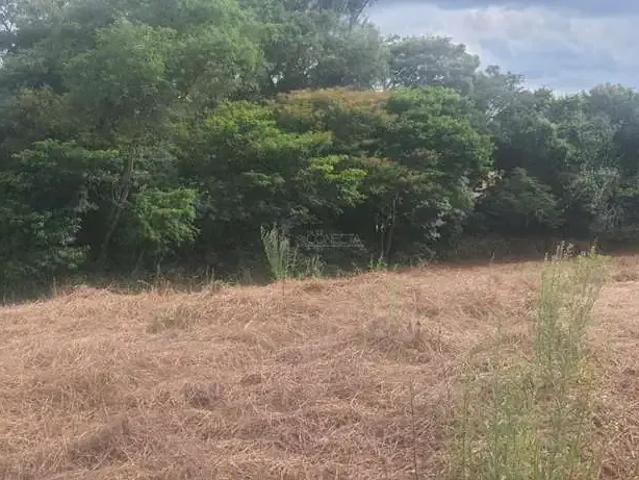 Sítio / Chácara para Venda em Londrina/PR Área Rural de Londrina