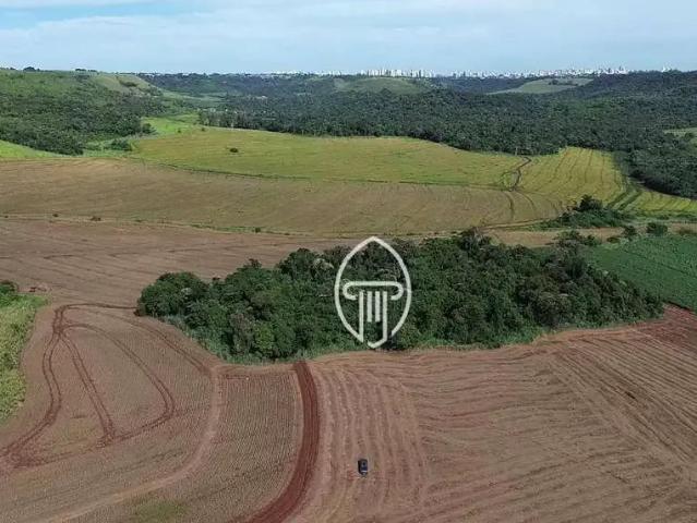 Sítio / Chácara para Venda em Londrina/PR Área Rural de Londrina