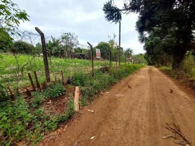 Sítio / Chácara para Venda em Londrina/PR Coroados