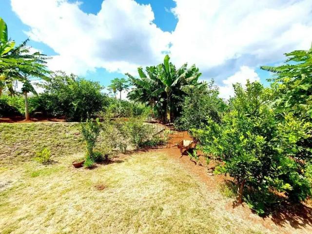 Sítio / Chácara para Venda em Londrina/PR Esperança 4 Quartos