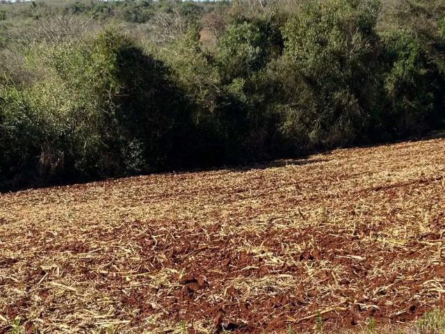 Sítio / Chácara para Venda em Londrina/PR Guaravera 3 Quartos