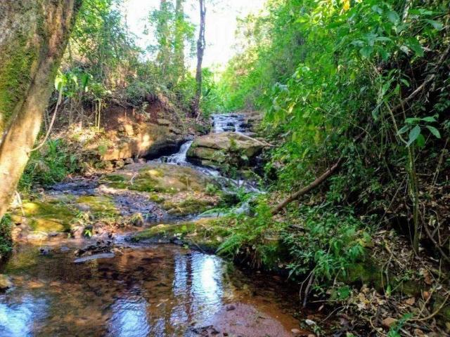 Sítio / Chácara para Venda em Londrina/PR Guaravera 1 Quartos