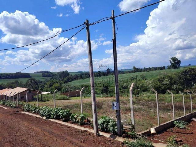 Sítio / Chácara para Venda em Londrina/PR Guaravera 1 Quartos