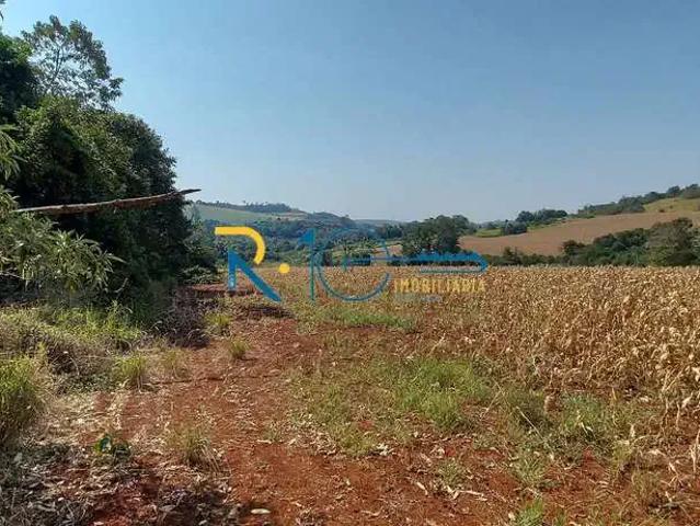 Sítio / Chácara para Venda em Londrina/PR Guaravera