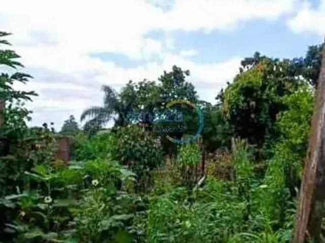 Sítio / Chácara para Venda em Londrina/PR Guaravera