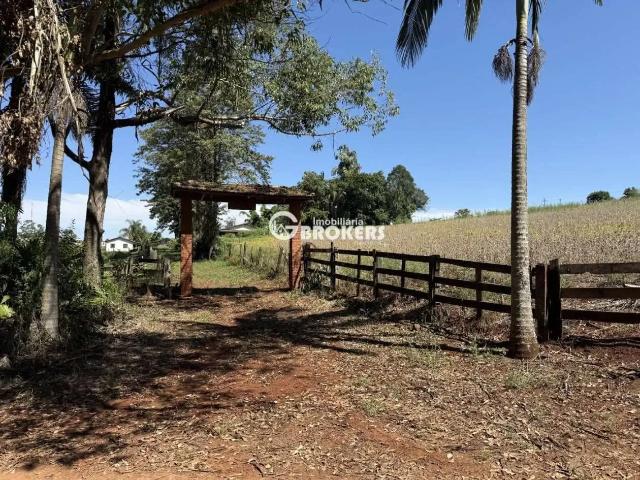 Sítio / Chácara para Venda em Londrina/PR Lerroville