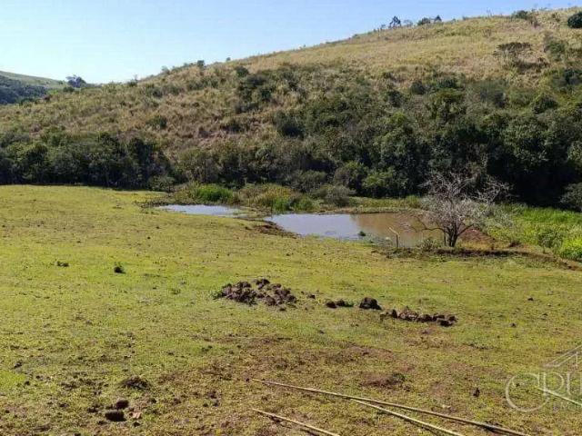 Sítio / Chácara para Venda em Londrina/PR Lerroville