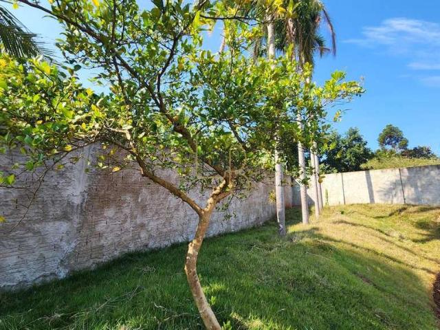 Sítio / Chácara para Venda em Londrina/PR Limoeiro