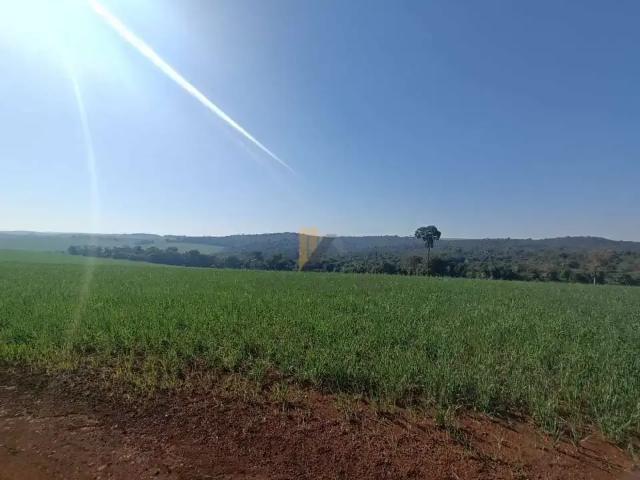 Sítio / Chácara para Venda em Londrina/PR Maravilha 1 Quartos