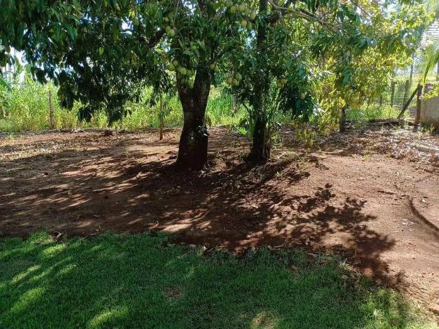 Sítio / Chácara para Venda em Londrina/PR Maravilha 2 Quartos