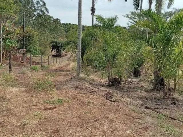 Sítio / Chácara para Venda em Londrina/PR Maravilha