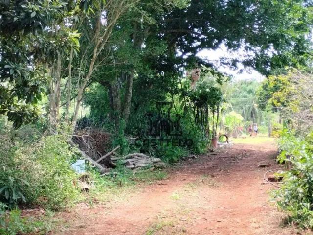Sítio / Chácara para Venda em Londrina/PR Ouro Branco