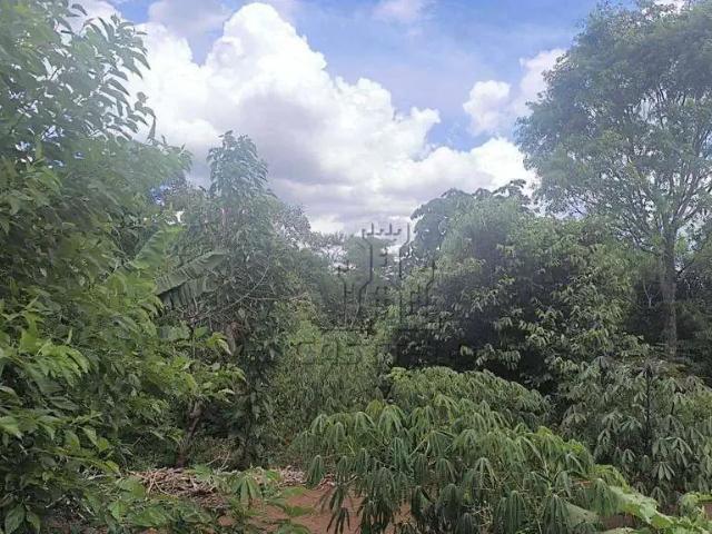 Sítio / Chácara para Venda em Londrina/PR Paiquerê