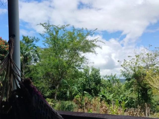 Sítio / Chácara para Venda em Londrina/PR Paiquerê 2 Quartos