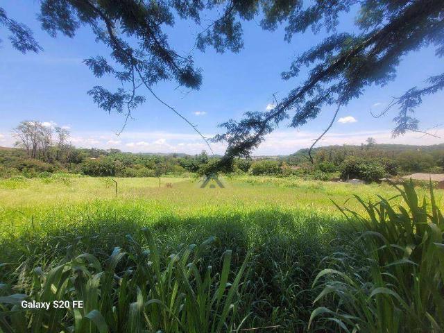 Sítio / Chácara para Venda em Londrina/PR Selva