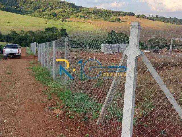 Sítio / Chácara para Venda em Londrina/PR Selva