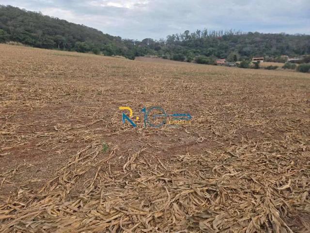 Sítio / Chácara para Venda em Londrina/PR Selva