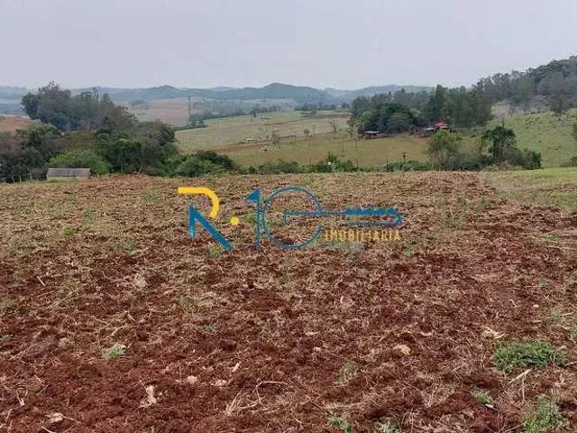 Sítio / Chácara para Venda em Londrina/PR Selva