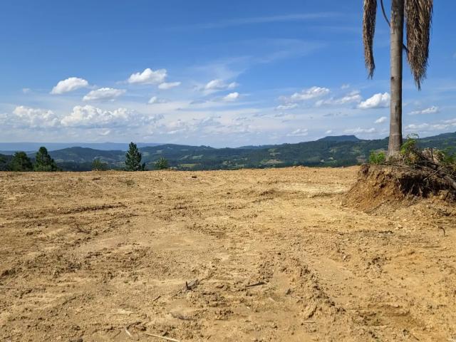 Sítio / Chácara para Venda em Lontras/SC Zona Rural