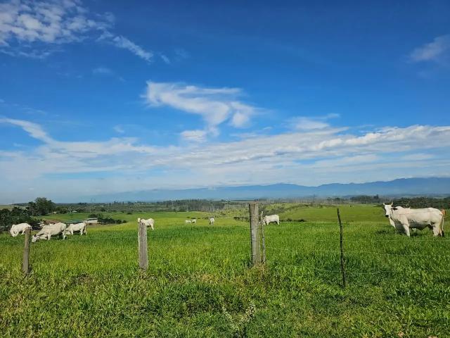 Sítio / Chácara para Venda em Lorena/SP Cruz 3 Quartos