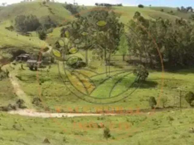 Sítio / Chácara para Venda em Lorena/SP Centro