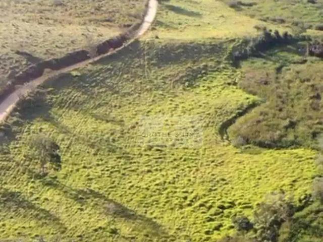 Sítio / Chácara para Venda em Lorena/SP Jardim Novo Horizonte