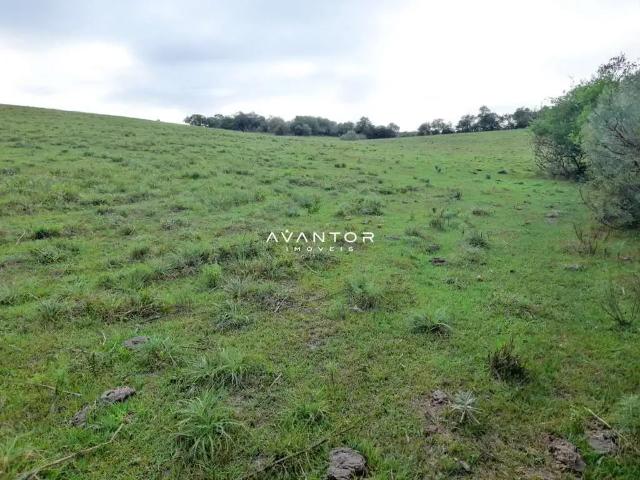 Sítio / Chácara para Venda em Lavras do Sul/RS Zona Rural 2 Quartos