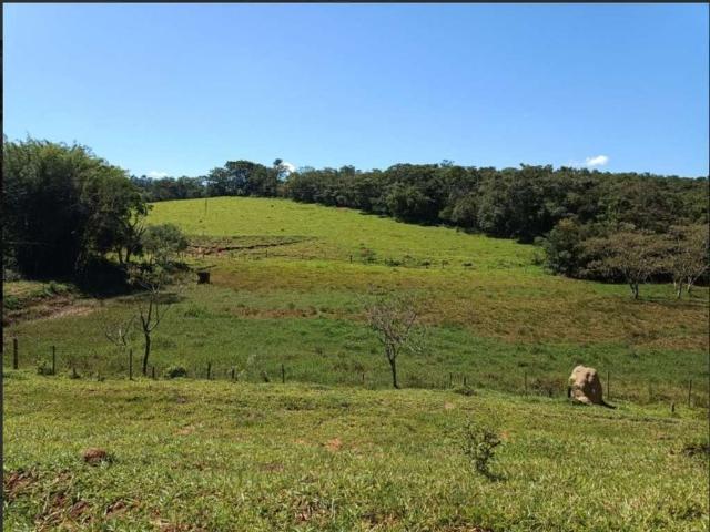 Sítio / Chácara para Venda em Lavras/MG Zona Rural 4 Quartos