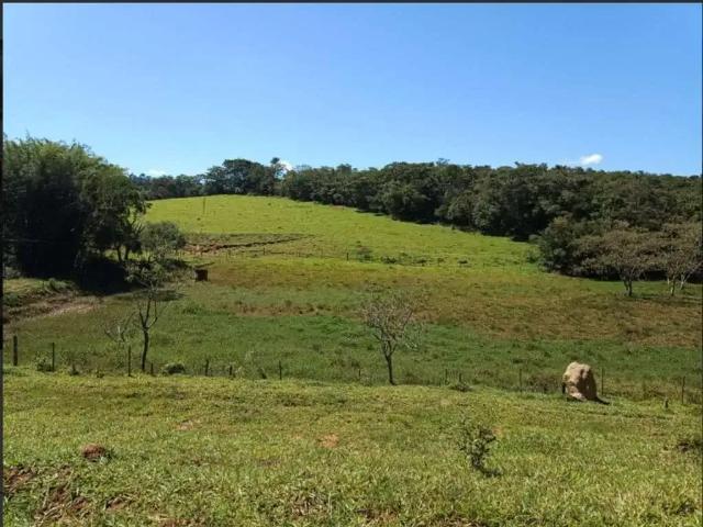 Sítio / Chácara para Venda em Lavras/MG Zona Rural 4 Quartos