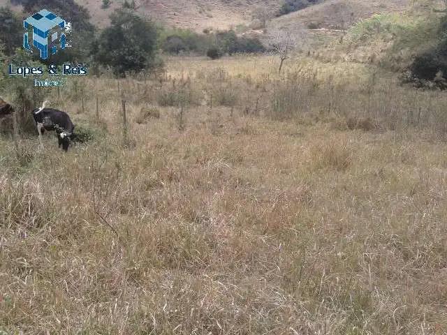 Sítio / Chácara para Venda em Ladainha/MG Centro